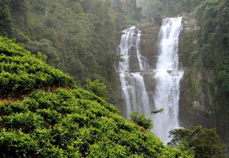 Green Mount View Two Bed Room Apartment Nuwara Eliya Exteriör bild