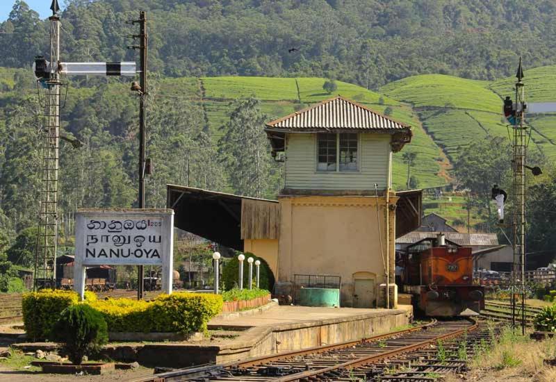 Green Mount View Two Bed Room Apartment Nuwara Eliya Exteriör bild
