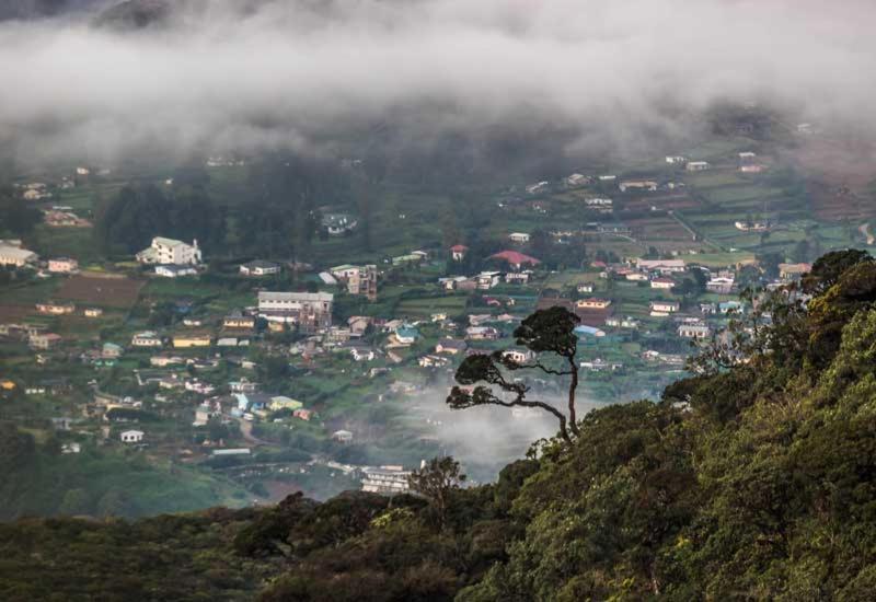 Green Mount View Two Bed Room Apartment Nuwara Eliya Exteriör bild