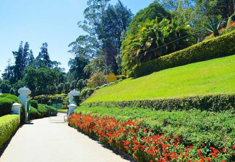 Green Mount View Two Bed Room Apartment Nuwara Eliya Exteriör bild